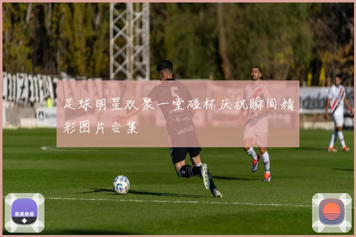 足球明星欢聚一堂碰杯庆祝瞬间精彩图片合集