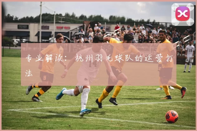 专业解读：杭州羽毛球队的运营打法