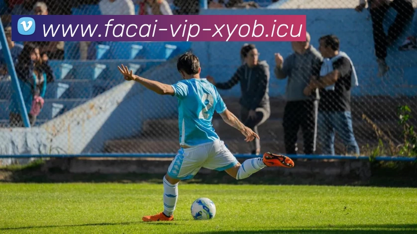 乐竞体育平台生态图